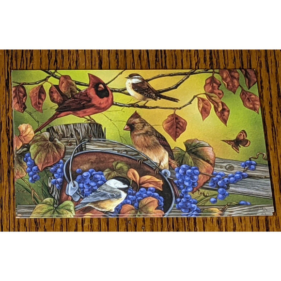 Blank Notes Notecards Set 12 Birds Flowers Fruit Seasons Jane Maday 6 x 4" READ - Picture 9 of 10